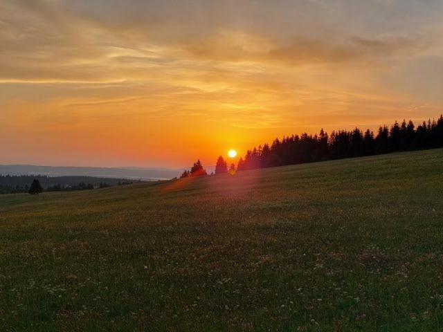 Landgasthof Neitsch شفارتسنبرغ المظهر الخارجي الصورة