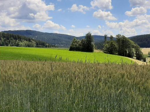 Landgasthof Neitsch شفارتسنبرغ المظهر الخارجي الصورة